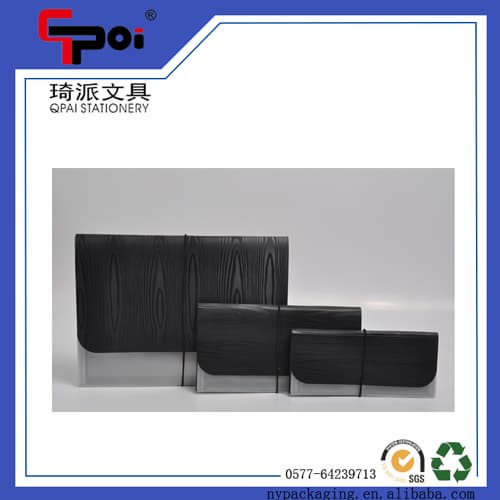 PP Plastic Document Case Elastic Closure Expanding File Fold